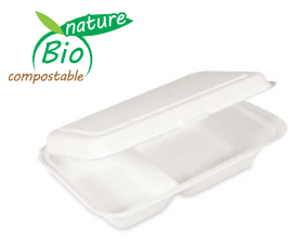 Menu box cukrová trstina 2dielny 250 x 162 x 63 mm [50 ks]