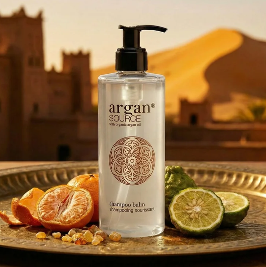 ARGAN SOURCE Šampón s kondicionérom 300ml /1ks/